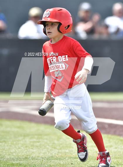 Thumbnail 2 in Mater Dei @ Servite photogallery.