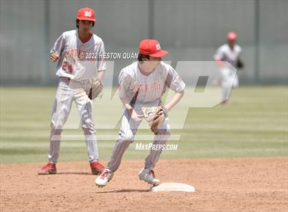Thumbnail 1 in Mater Dei @ Servite photogallery.