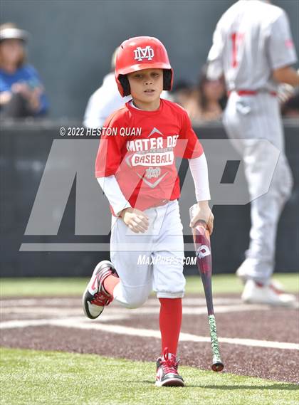 Thumbnail 1 in Mater Dei @ Servite photogallery.