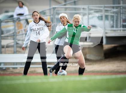 Thumbnail 2 in Palmer @ Falcon photogallery.