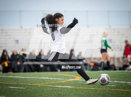 Thumbnail 3 in Palmer @ Falcon photogallery.