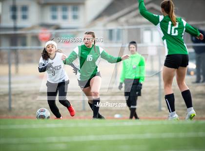 Thumbnail 1 in Palmer @ Falcon photogallery.