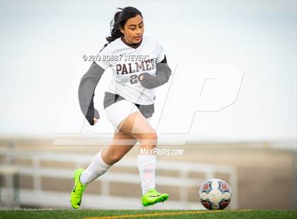 Thumbnail 3 in Palmer @ Falcon photogallery.