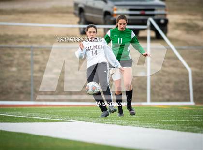 Thumbnail 2 in Palmer @ Falcon photogallery.