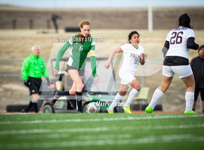 Thumbnail 1 in Palmer @ Falcon photogallery.