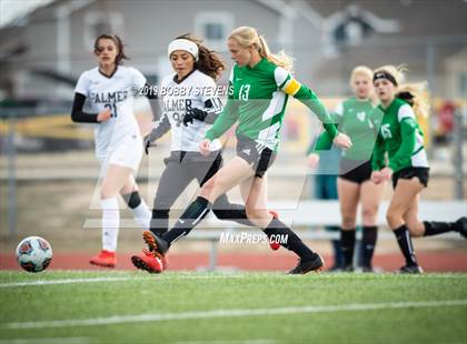 Thumbnail 1 in Palmer @ Falcon photogallery.