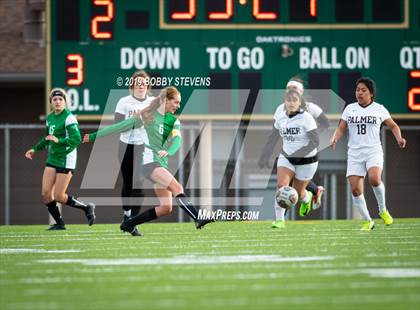 Thumbnail 3 in Palmer @ Falcon photogallery.