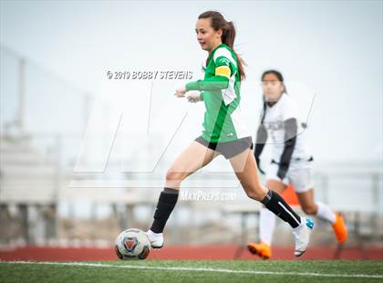 Thumbnail 2 in Palmer @ Falcon photogallery.
