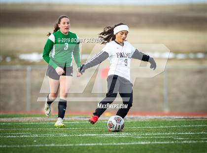 Thumbnail 3 in Palmer @ Falcon photogallery.