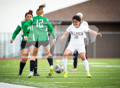 Thumbnail 3 in Palmer @ Falcon photogallery.