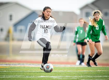 Thumbnail 2 in Palmer @ Falcon photogallery.