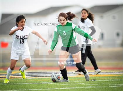 Thumbnail 3 in Palmer @ Falcon photogallery.
