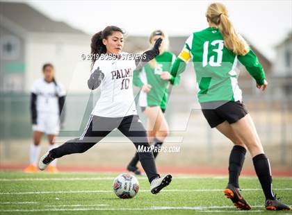 Thumbnail 1 in Palmer @ Falcon photogallery.