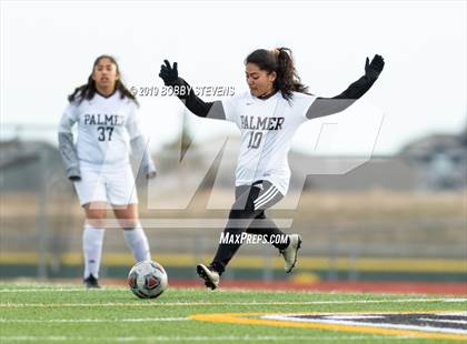 Thumbnail 2 in Palmer @ Falcon photogallery.