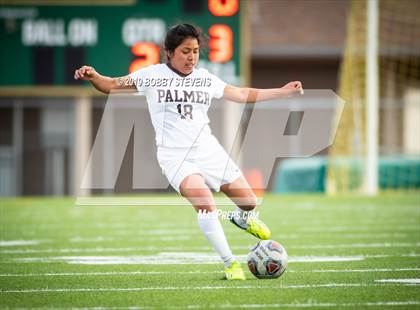 Thumbnail 1 in Palmer @ Falcon photogallery.