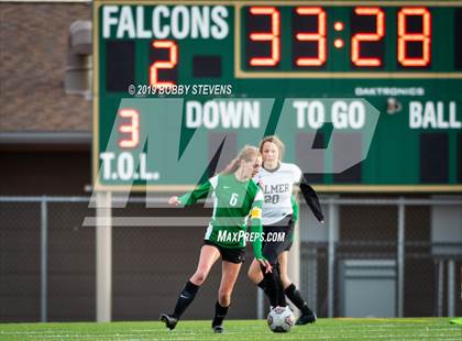 Thumbnail 2 in Palmer @ Falcon photogallery.