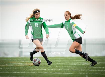 Thumbnail 3 in Palmer @ Falcon photogallery.