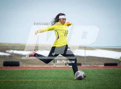 Thumbnail 2 in Palmer @ Falcon photogallery.