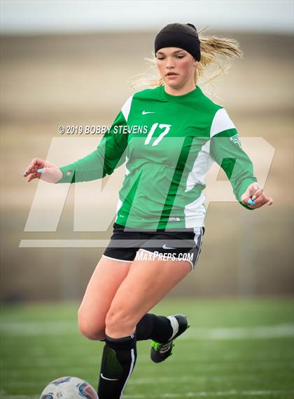 Thumbnail 3 in Palmer @ Falcon photogallery.