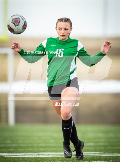 Thumbnail 1 in Palmer @ Falcon photogallery.