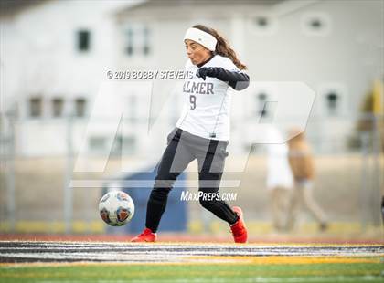 Thumbnail 2 in Palmer @ Falcon photogallery.