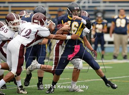 Thumbnail 1 in North Haven @ East Haven photogallery.