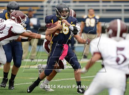 Thumbnail 2 in North Haven @ East Haven photogallery.