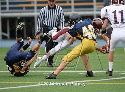 Thumbnail 2 in North Haven @ East Haven photogallery.
