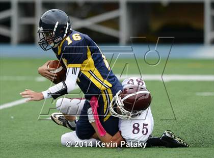 Thumbnail 3 in North Haven @ East Haven photogallery.