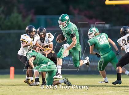 Thumbnail 3 in Forest Hills @ Weddington photogallery.