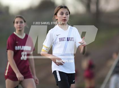 Thumbnail 1 in Bret Harte @ Calaveras photogallery.