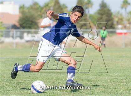 Thumbnail 3 in Napa @ Pioneer photogallery.