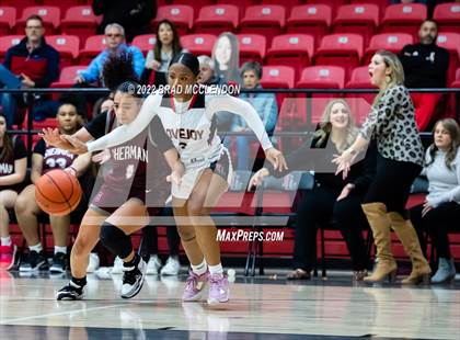 Thumbnail 1 in Sherman vs Lovejoy photogallery.