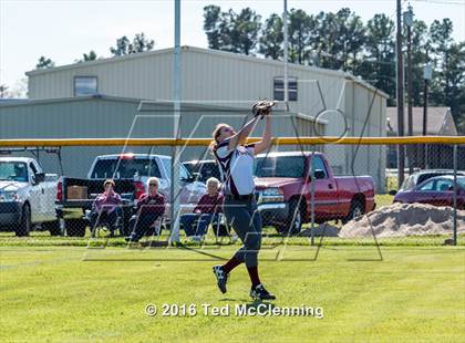Thumbnail 3 in Hector @ Perryville photogallery.