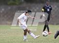 Photo from the gallery "Middle Creek @ Panther Creek"