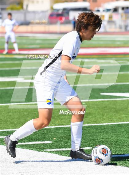 Thumbnail 3 in Phoenix Country Day vs. American Leadership Academy - Gilbert North (AIA 3A Final) photogallery.