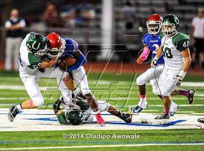 Thumbnail 3 in Arlington @ Sam Houston photogallery.