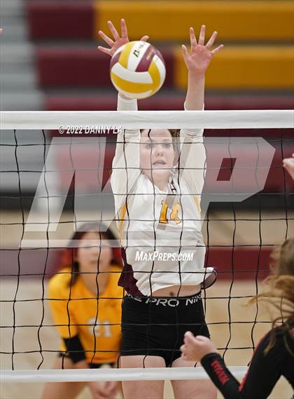 Thumbnail 3 in Meridian @ Oakton photogallery.