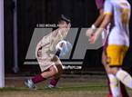 Photo from the gallery "Bell @ Oak Hall"