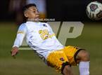 Photo from the gallery "Bell @ Oak Hall"