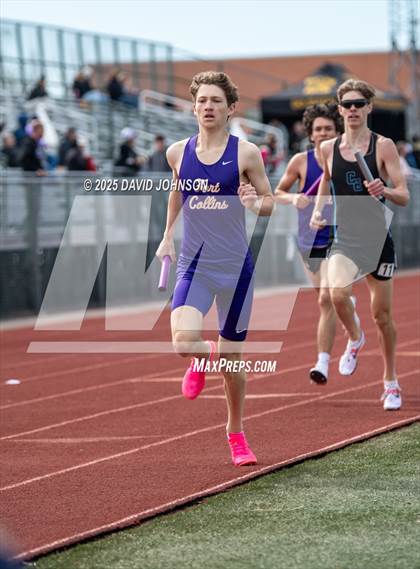 Thumbnail 2 in Rocky Mountain High Runners Roost photogallery.