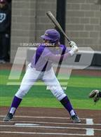Photo from the gallery "Sanger vs. Princeton"