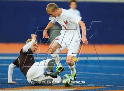 Thumbnail 1 in  Crespi @ Chaminade photogallery.