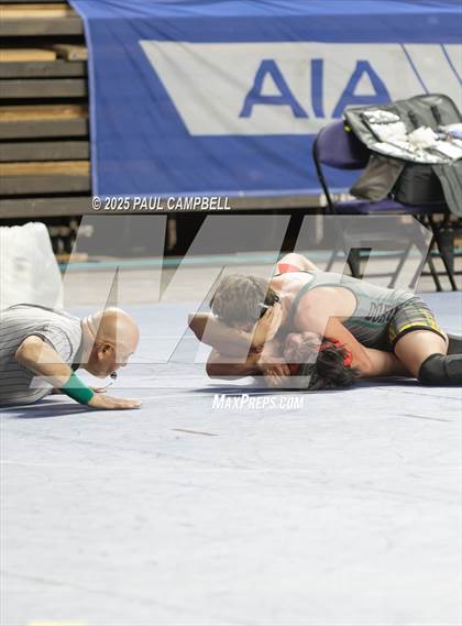Thumbnail 1 in AIA State Finals (D1-4 Boys) photogallery.