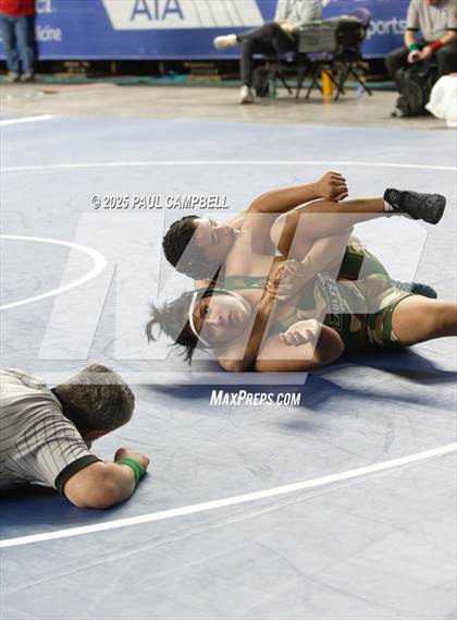 Thumbnail 2 in AIA State Finals (D1-4 Boys) photogallery.