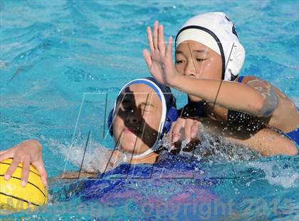 Thumbnail 2 in Irvine vs Corona del Mar photogallery.