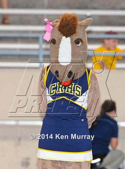 Thumbnail 1 in Cypress Ranch vs Cy Ridge photogallery.