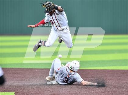 Thumbnail 2 in Madison vs Churchill photogallery.