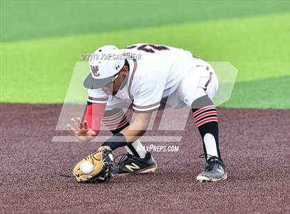 Thumbnail 1 in Madison vs Churchill photogallery.