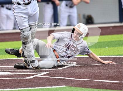 Thumbnail 2 in Madison vs Churchill photogallery.
